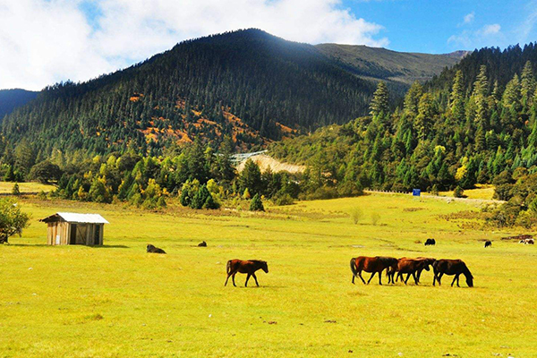 徒步體驗，藏式風情，拉薩，巴松措，新措徒步，魯朗林海田園風光，大峽谷，羊湖，卡諾拉冰川，滿拉水庫，日喀則，納木措扎營9晚10日游
