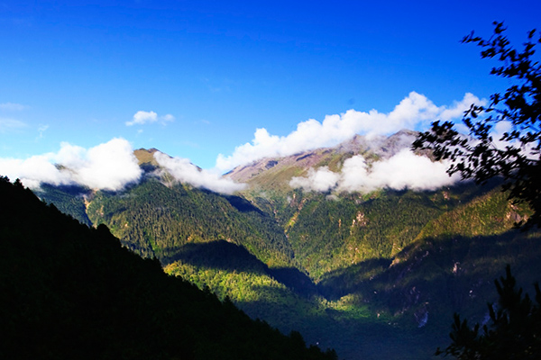 林芝-苯日神山-大峽谷-南伊溝-巴松錯(cuò)-篝火錯(cuò)3日游