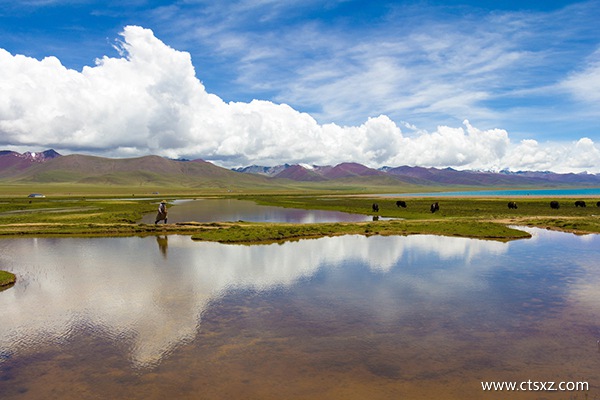 西藏旅游大概多少錢