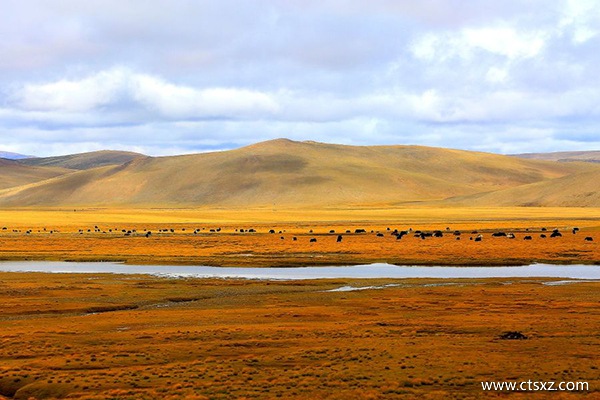 坐火車去拉薩攻略