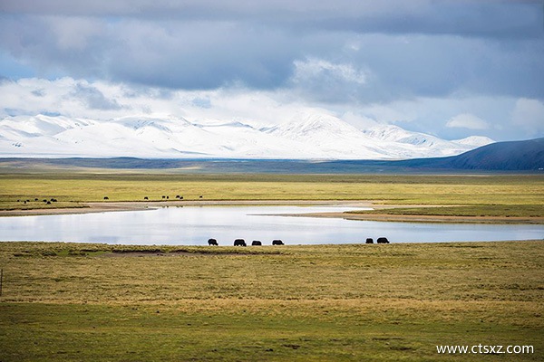 去拉薩最美的火車路線