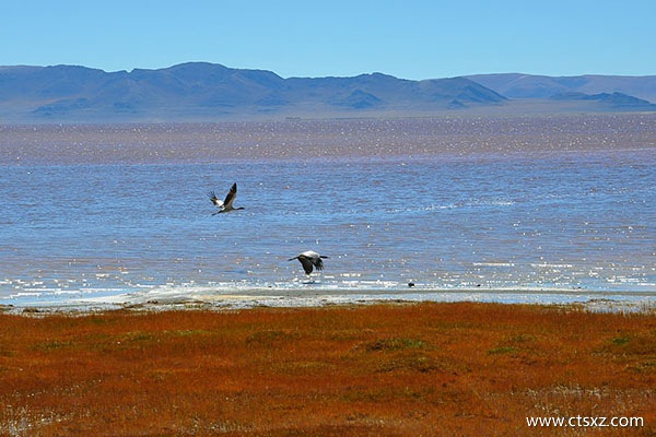 什么月份去西藏好