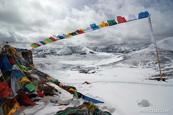 西藏林芝三日游