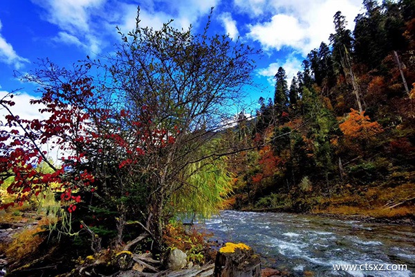 西藏什么時候去最合適