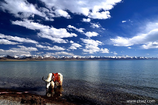 去西藏玩需要多少費用