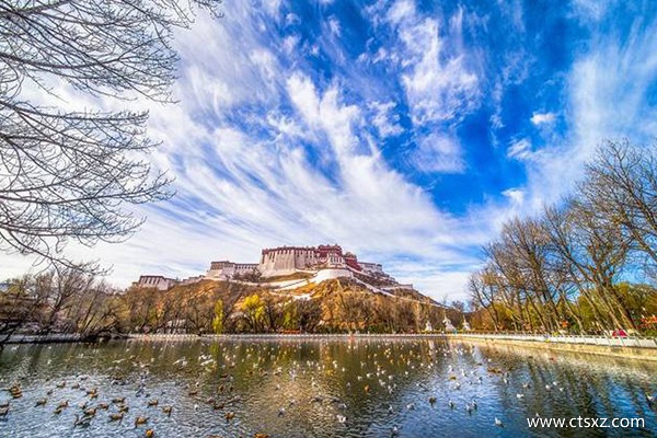拉薩的旅行社哪家好