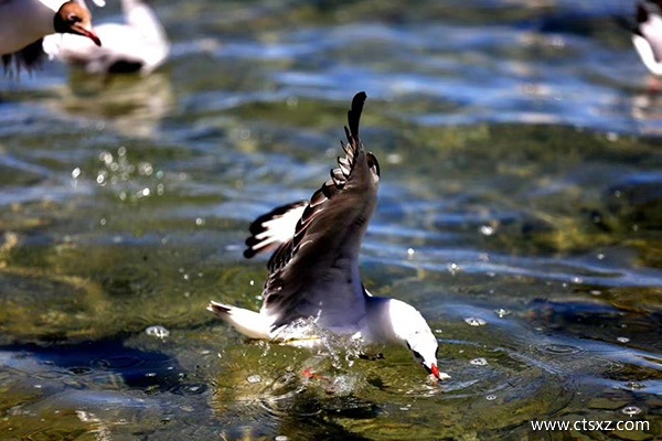 去西藏幾月份好