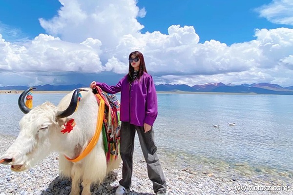 拉薩包車一天費用多少錢