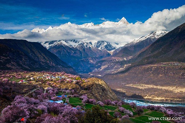 林芝的桃花什么時候開得漂亮