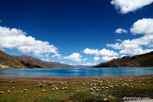 游西藏注意什么