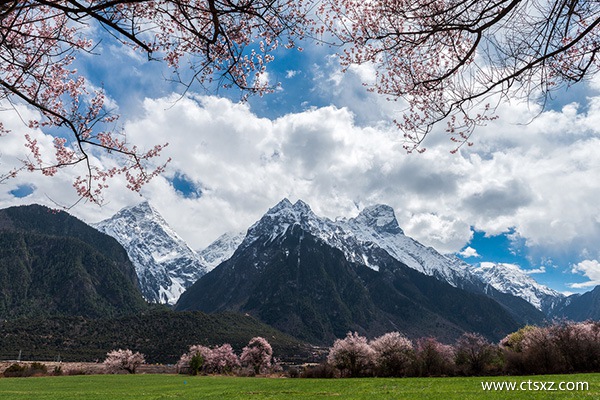 現在可以去西藏嗎