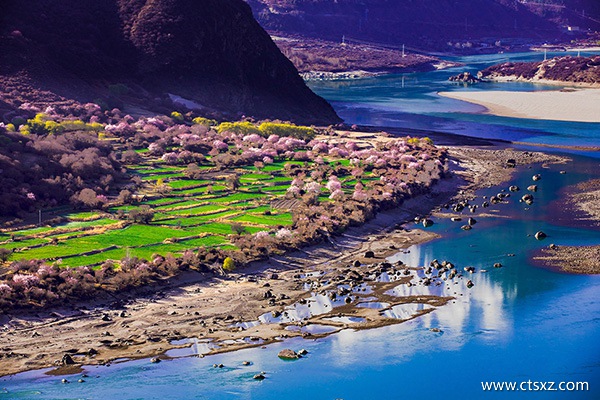 林芝桃花節線路攻略