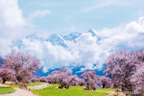 四月去西藏游玩攻略