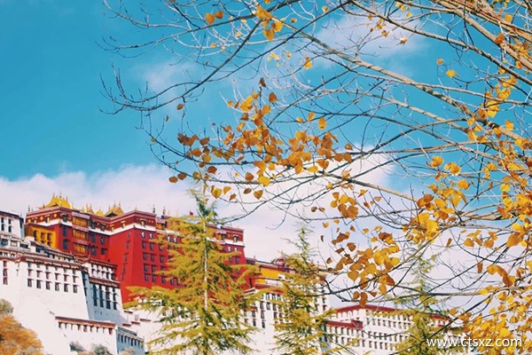 哪個季節去西藏最美