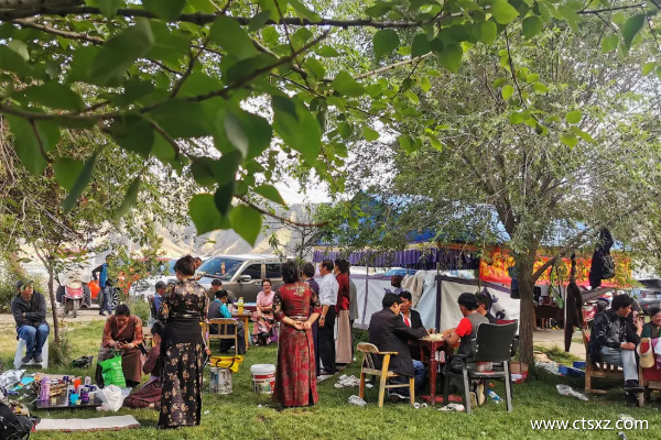 跟團去西藏多少錢