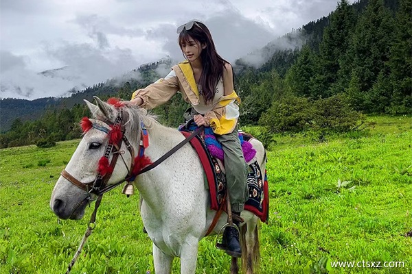 西藏旅游報團多少費用