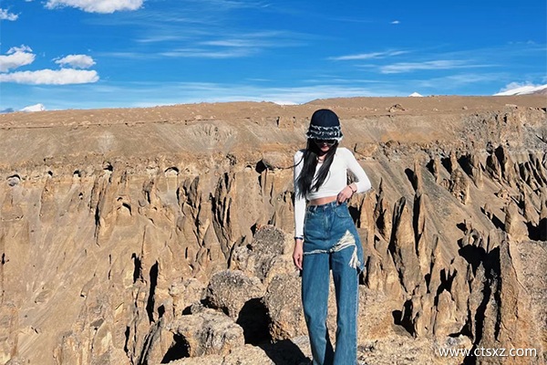 西藏跟團多少錢