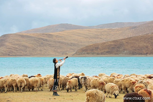 中旅西藏游價格