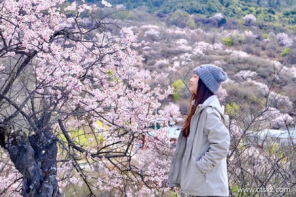 徐州到西藏跟團旅游多少錢一個人