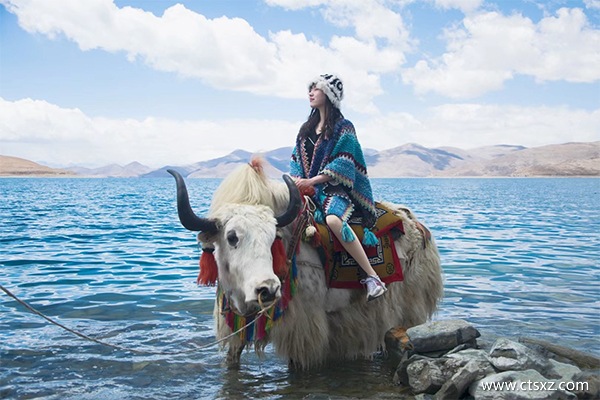 北京到西藏旅行社多少錢一天