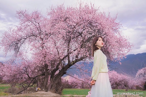 跟團(tuán)去西藏玩一趟多少錢(qián)