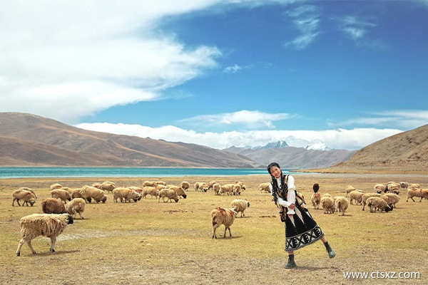 西藏報(bào)團(tuán)游8天要多少錢